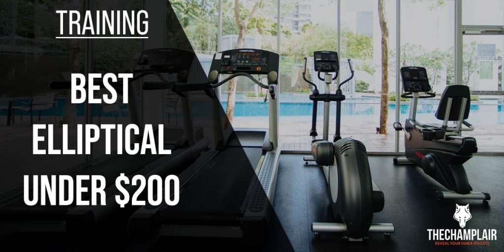 3 Best Machines for Chest Exercises 2024 [InDepth]