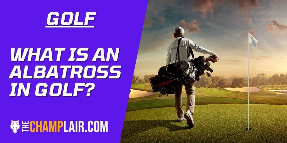 A Guide to the Albatross in Golf The Birdie’s Big Brother